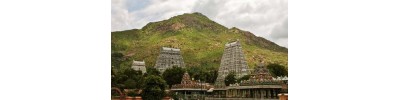 236. திருவண்ணாமலை